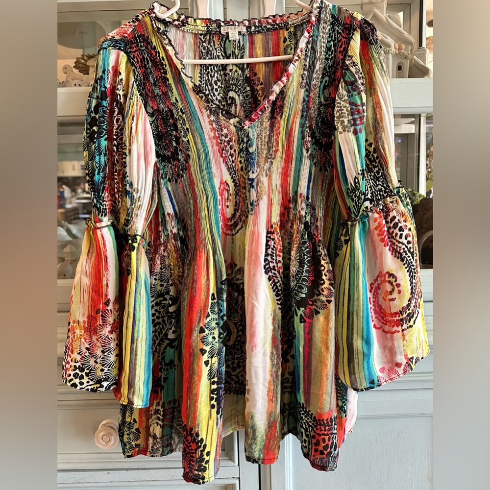 Spense Multicolor Striped Paisley V-Neck Tunic with Bell Sleeves